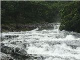 増水したカンピラ滝